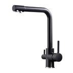 Noir & Gold Pull-Out Kitchen Faucet