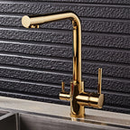 Noir & Gold Pull-Out Kitchen Faucet