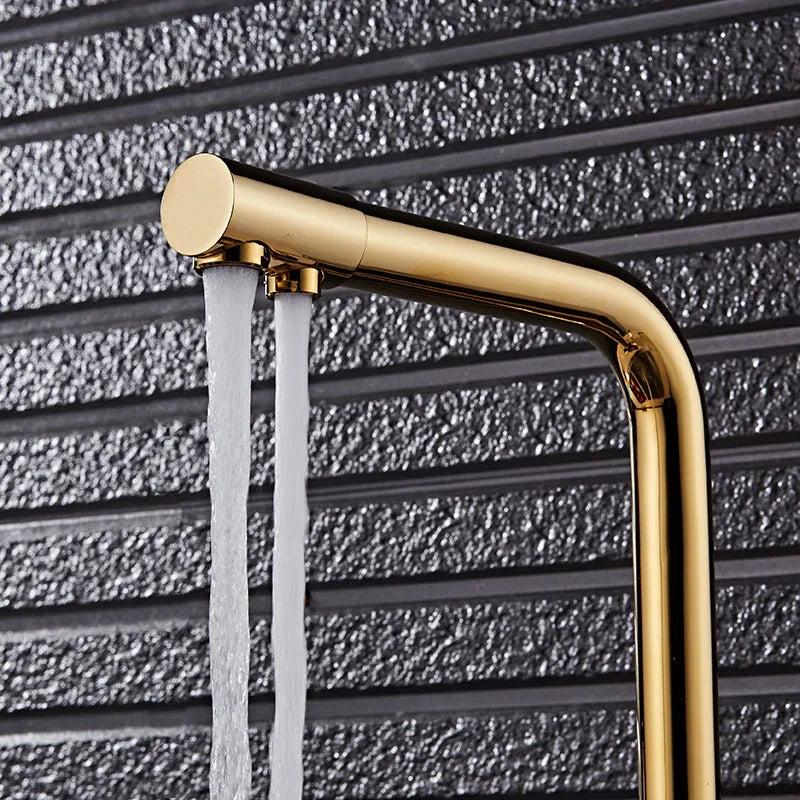 Noir & Gold Pull-Out Kitchen Faucet