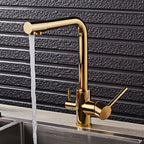 Noir & Gold Pull-Out Kitchen Faucet