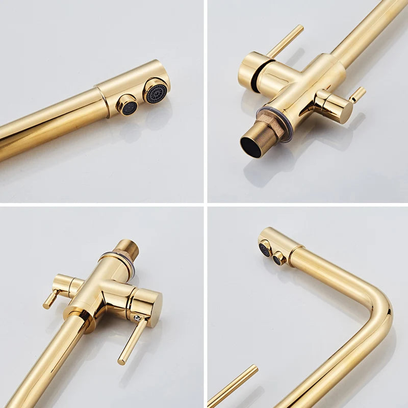 Noir & Gold Pull-Out Kitchen Faucet