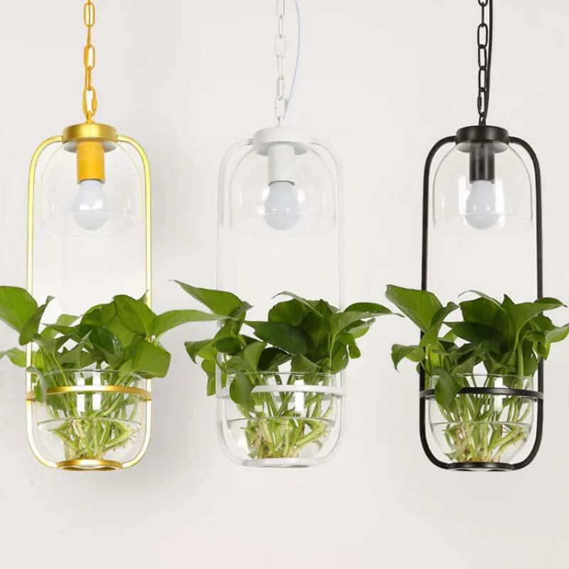 Botanica Glass Pendant Light