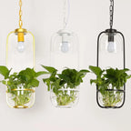 Botanica Glass Pendant Light
