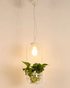Botanica Glass Pendant Light