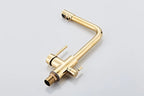 Noir & Gold Pull-Out Kitchen Faucet