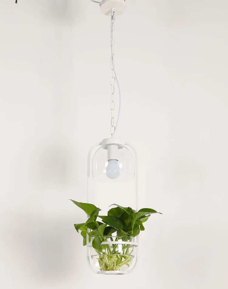 Botanica Glass Pendant Light