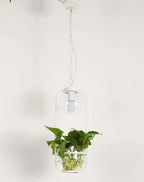 Botanica Glass Pendant Light