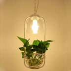 Botanica Glass Pendant Light