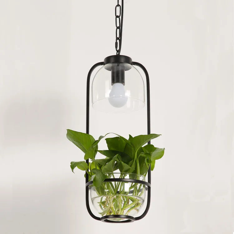 Botanica Glass Pendant Light