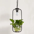 Botanica Glass Pendant Light