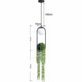 Hanging Garden Pendant Light