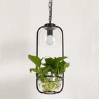 Botanica Glass Pendant Light