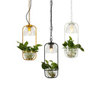 Botanica Glass Pendant Light