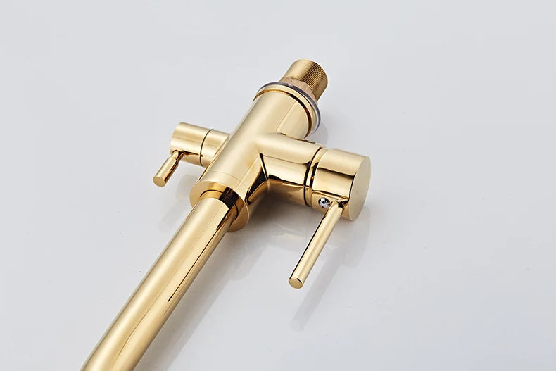 Noir & Gold Pull-Out Kitchen Faucet