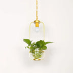 Botanica Glass Pendant Light