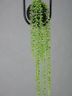 Hanging Garden Pendant Light