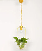 Botanica Glass Pendant Light